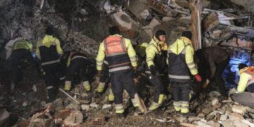 آمارا فوتی های زلزله ترکیه