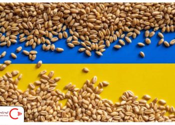 عدم تمدید صادرات غله توسط روسیه