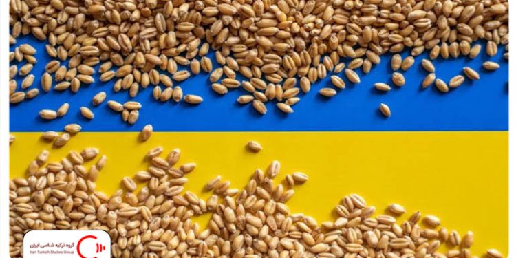 عدم تمدید صادرات غله توسط روسیه