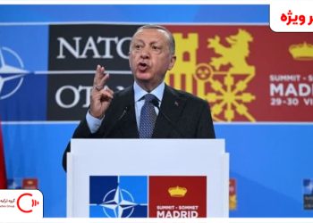 حمایت اردوغان از پیوستن اوکراین به ناتو
