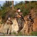 Operation of Turkish forces against P.  K.  K