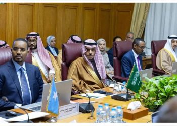 Turkiye finance ministry meet with Saudi trade ministry