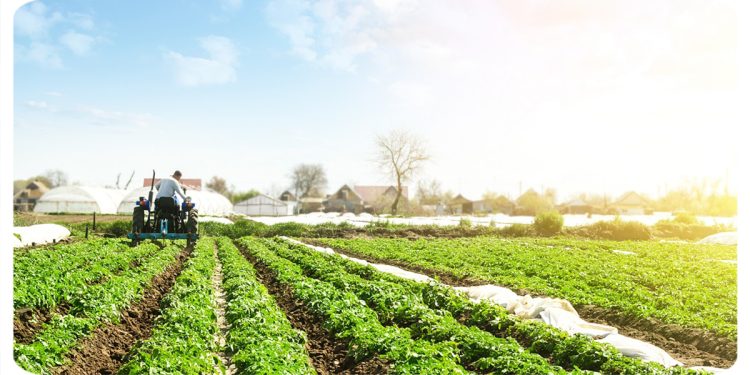 Turkiye is one of propaganda country in agriculture