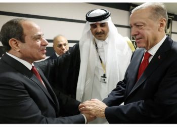 ارتقا رابطه ترکیه و مصر به سطح راهبردی
