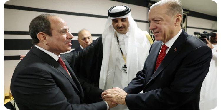 ارتقا رابطه ترکیه و مصر به سطح راهبردی