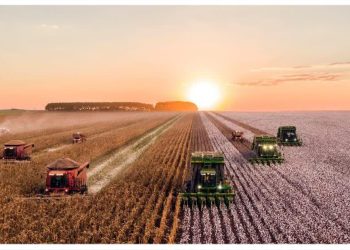 رکورد جدید صادرات محصولات کشاورزی ترکیه