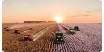 رکورد جدید صادرات محصولات کشاورزی ترکیه