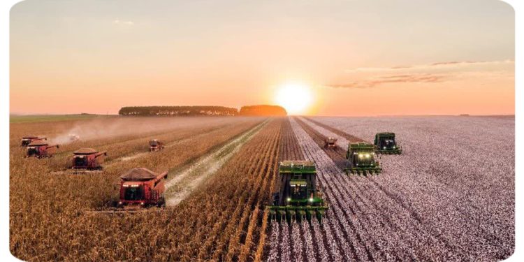 رکورد جدید صادرات محصولات کشاورزی ترکیه