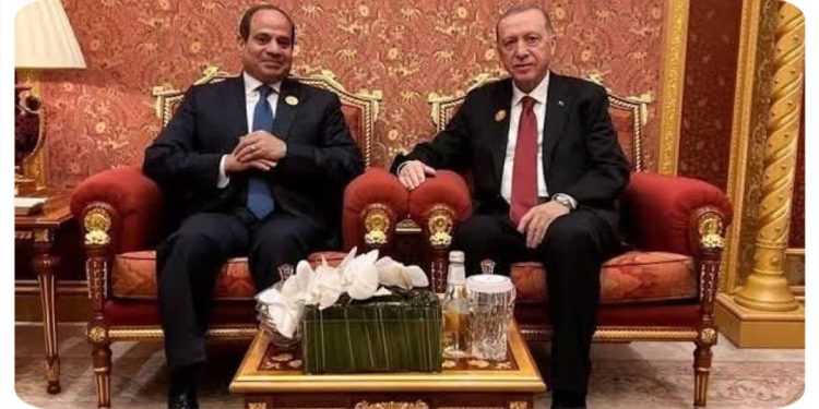 سفر السیسی به ترکیه