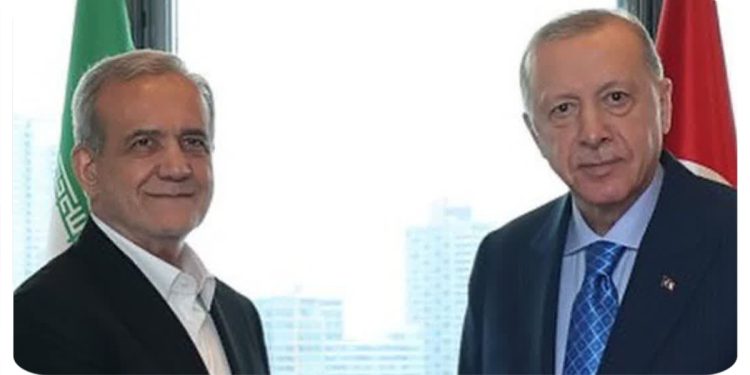 دیدار پزشکیان با اردوغان در نیویورک