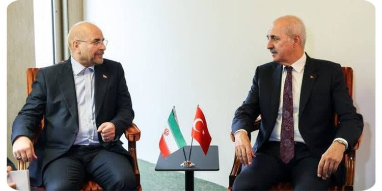 دیدار رؤسای مجالس ترکیه و ایران در ژنو؛ تأکید بر اهمیت همکاری‌های منطقه‌ای و مسئله فلسطین