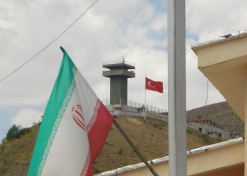 Unprofessional View: Turkish Analysts on the Security Issue