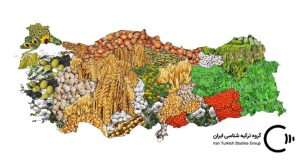 فاجعه یخبندان در ترکیه