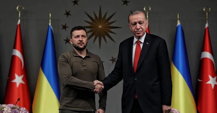 دیدار زلنسکی و اردوغان در آنکارا