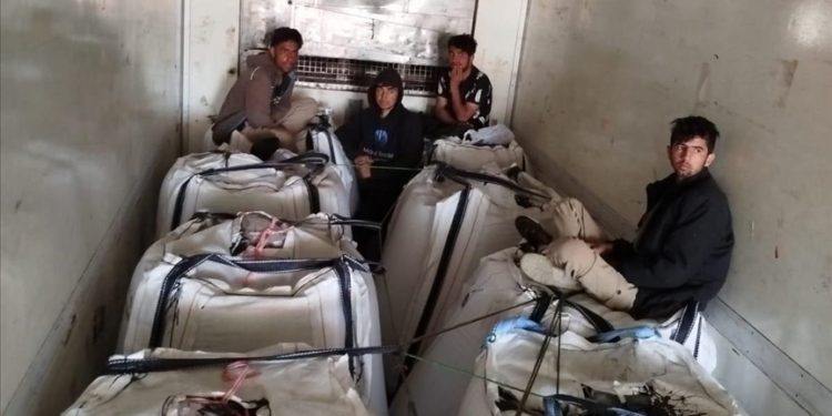 بازداشت 7 مهاجر غیرقانونی افغان در شرق ترکیه