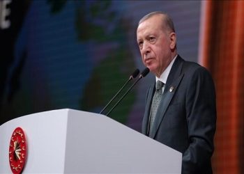 سخنان اردوغان درباره حملات رژیم صهیونیستی به ایران