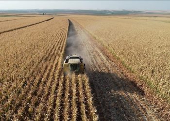 اجرای موفق برنامه IPARD III در ترکیه: 70 میلیون یورو سرمایه‌گذاری با حمایت اتحادیه اروپا