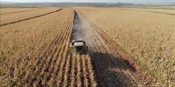 اجرای موفق برنامه IPARD III در ترکیه: 70 میلیون یورو سرمایه‌گذاری با حمایت اتحادیه اروپا