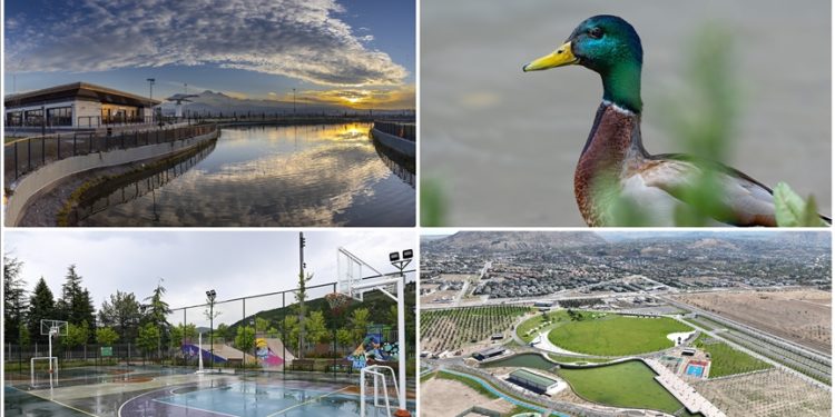 شهرهای ترکیه با "میلت باغلاری" جان می‌گیرند