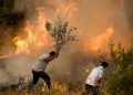 آتش سوزی در آنتالیا و موغلا ادامه دارد