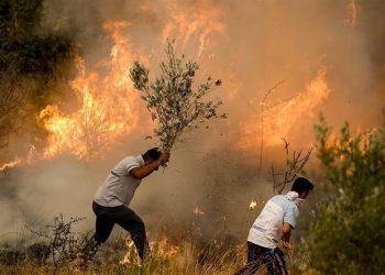 آتش سوزی در آنتالیا و موغلا ادامه دارد