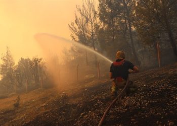 آتش سوزی های گسترده در جنگل های ترکیه