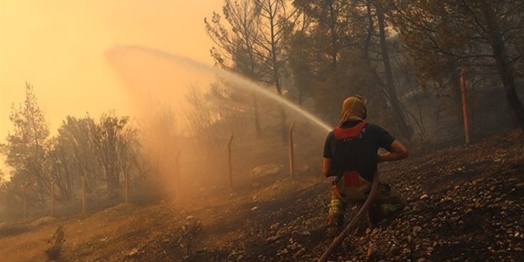 آتش سوزی های گسترده در جنگل های ترکیه