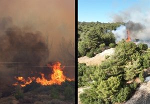 آتش سوزی های گسترده در جنگل های ترکیه