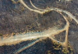 آتش سوزی های گسترده در جنگل های ترکیه