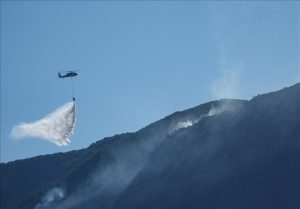 آتش سوزی های گسترده در جنگل های ترکیه