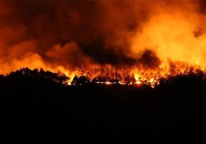 آتش سوزی های گسترده در جنگل های ترکیه