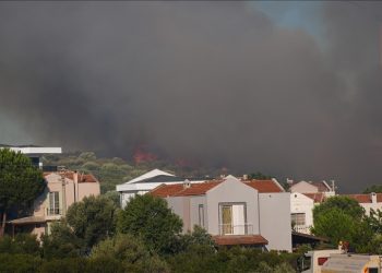 آتش سوزی در جنگل های ازمیر ترکیه ادامه دارد