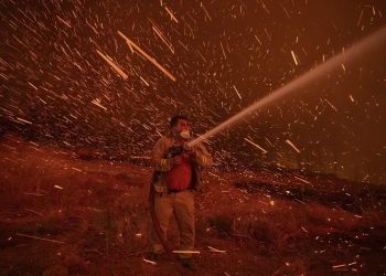 آخرین وضعیت آتش سوزی جنگلی در ترکیه