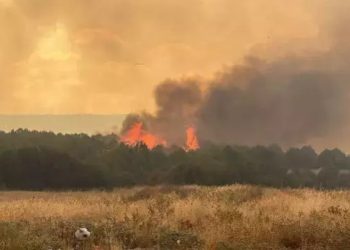 آتش سوزی گسترده در جنگل های چاناکاله ترکیه