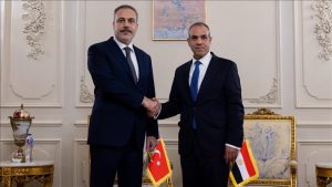 وزيرا خارجية تركيا ومصر يناقشان الأزمة الإنسانية في غزة