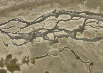 Ankara’da Su Tüketim Yönetimi ve Su Kesintisi Programının Uygulanması