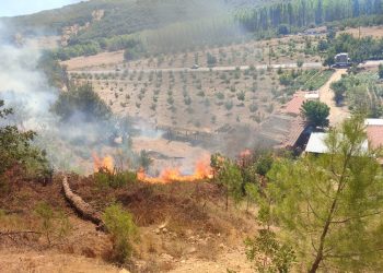 ادامه عملیات مهار آتش سوزی های جنگلی در موغلا و آنتالیا