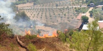 Ongoing Efforts to Contain Forest Fires in Muğla and Antalya