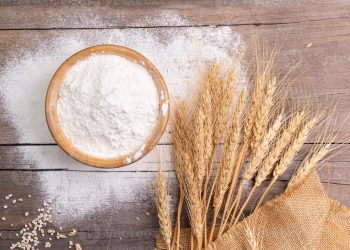 صدرنشینی ترکیه در صادرات آرد برای یازدهمین سال متوالی