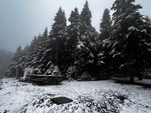 Türkiye’nin yüksek kesimleri sonbahar karıyla beyaza büründü