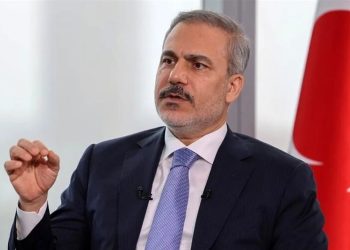 فيدان: أسطول صمود هو دعم دولي لفلسطين