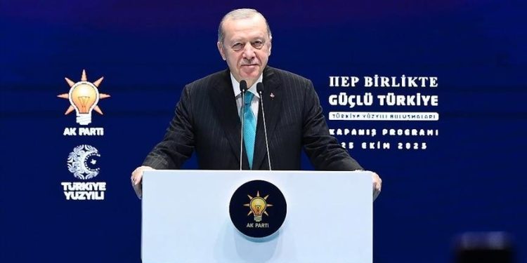 اردوغان: نقش تعیین کننده ترکیه در توازن منطقه