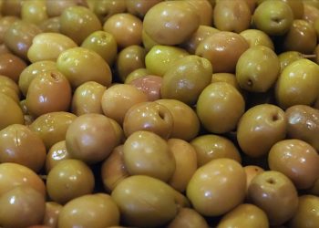 صادرات زیتون ترکیه رکورد زد