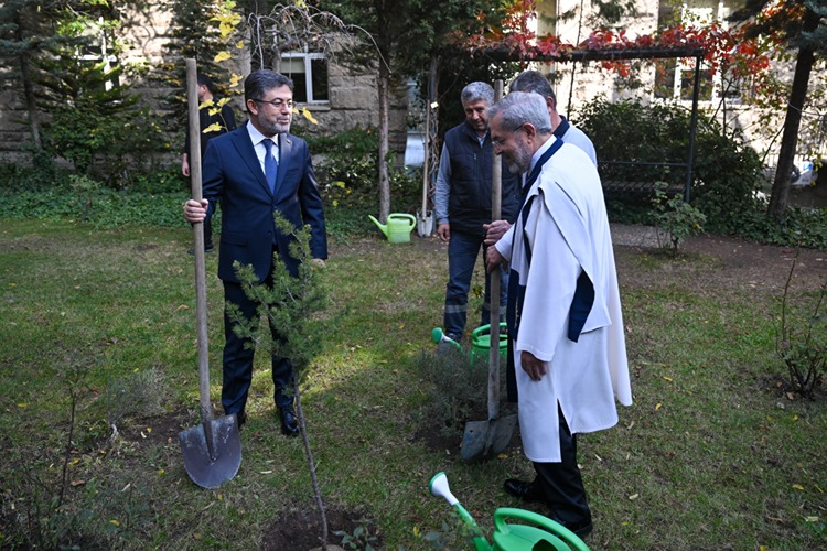 یوماکلی از شهروندان برای مشارکت در روز ملی جنگل کاری دعوت کرد