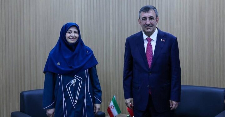 Meeting of the Head of Iran’s Department of Environment with the Vice President of Turkey