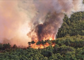 Türkiye ekibinin İran Hirkani ormanlarındaki yangını söndürme operasyonuna katılımı
