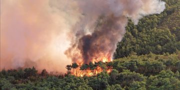 ورود تیم ترکیه برای مهار آتش سوزی جنگل های هیرکانی ایران