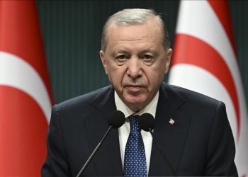 تاکید اردوغان بر حمایت از راه حل دو دولتی در قبرس