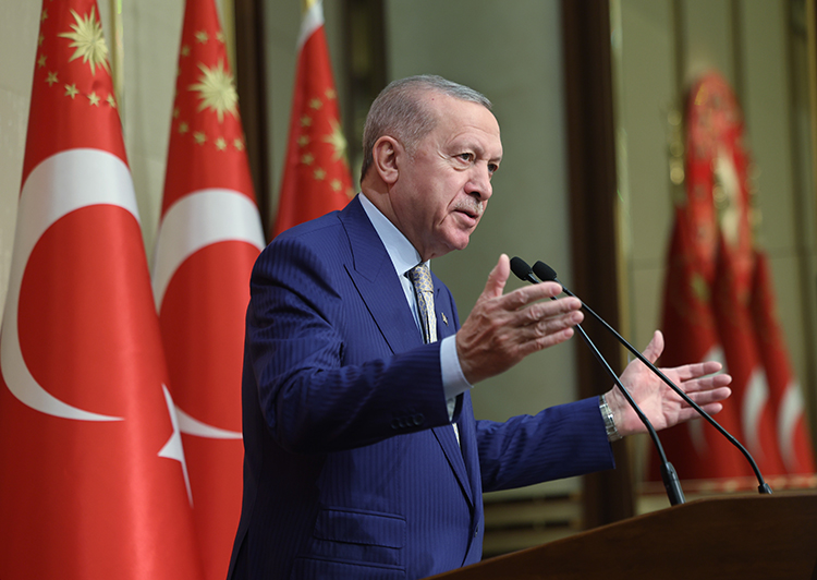 Erdoğan Emphasizes Solidarity of Turks Abroad