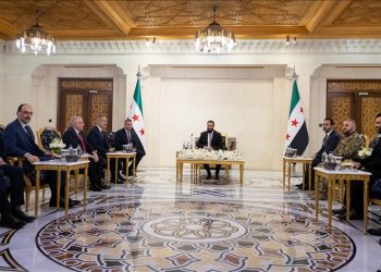 گفتگوی دمشق و آنکارا درباره ثبات و همکاری های منطقه ای